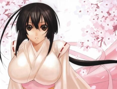 Musubi sekirei anime season 3